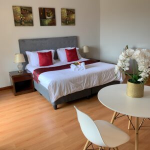 333 Grus Street, Waterkloof - King Room